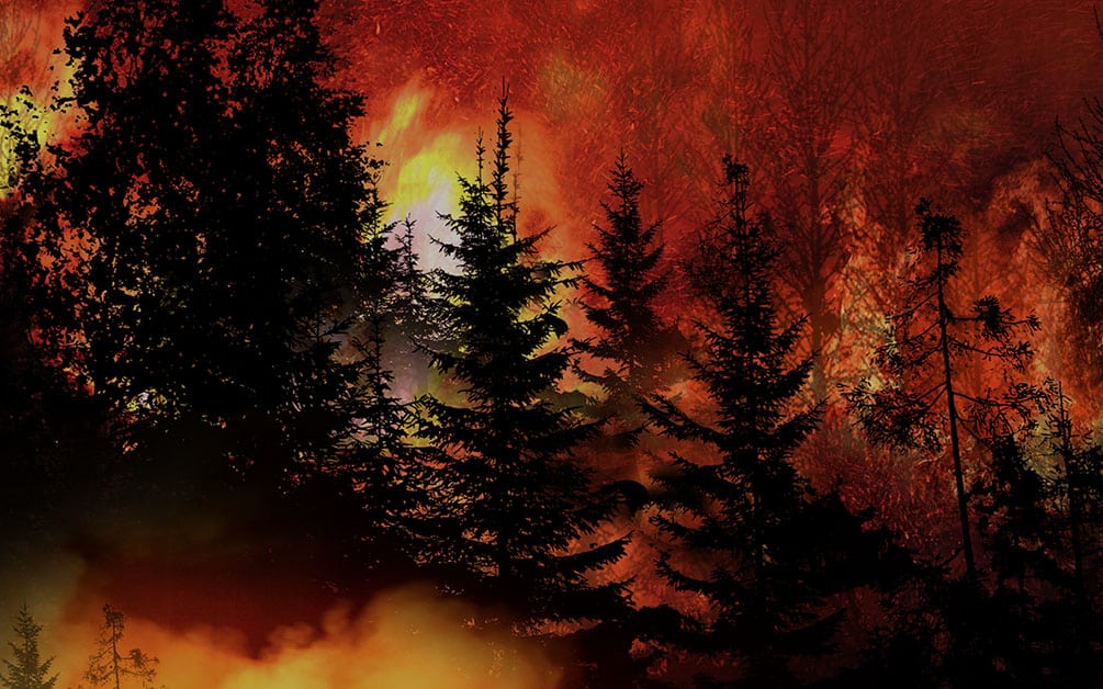 Webinar-2022-ClimateChange Sep2022 website