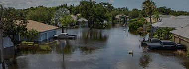 Portfolio Monitoring